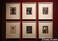 VBS_4841 - Mostra Escher